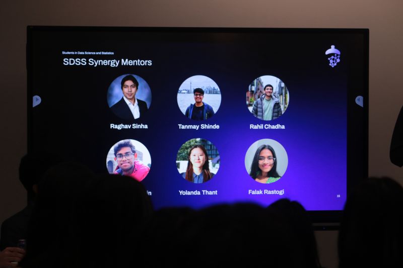 Synergy Mentorship Program session